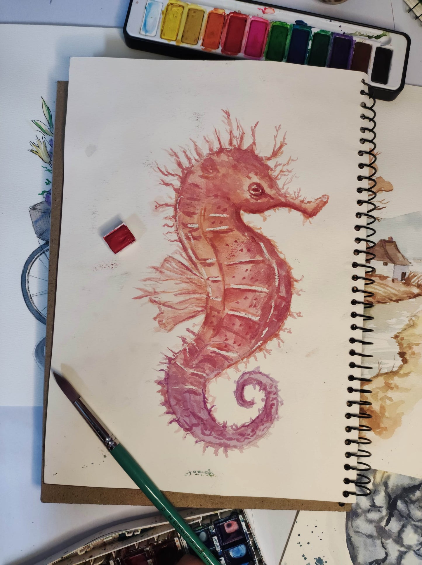 Water Color Illustrations