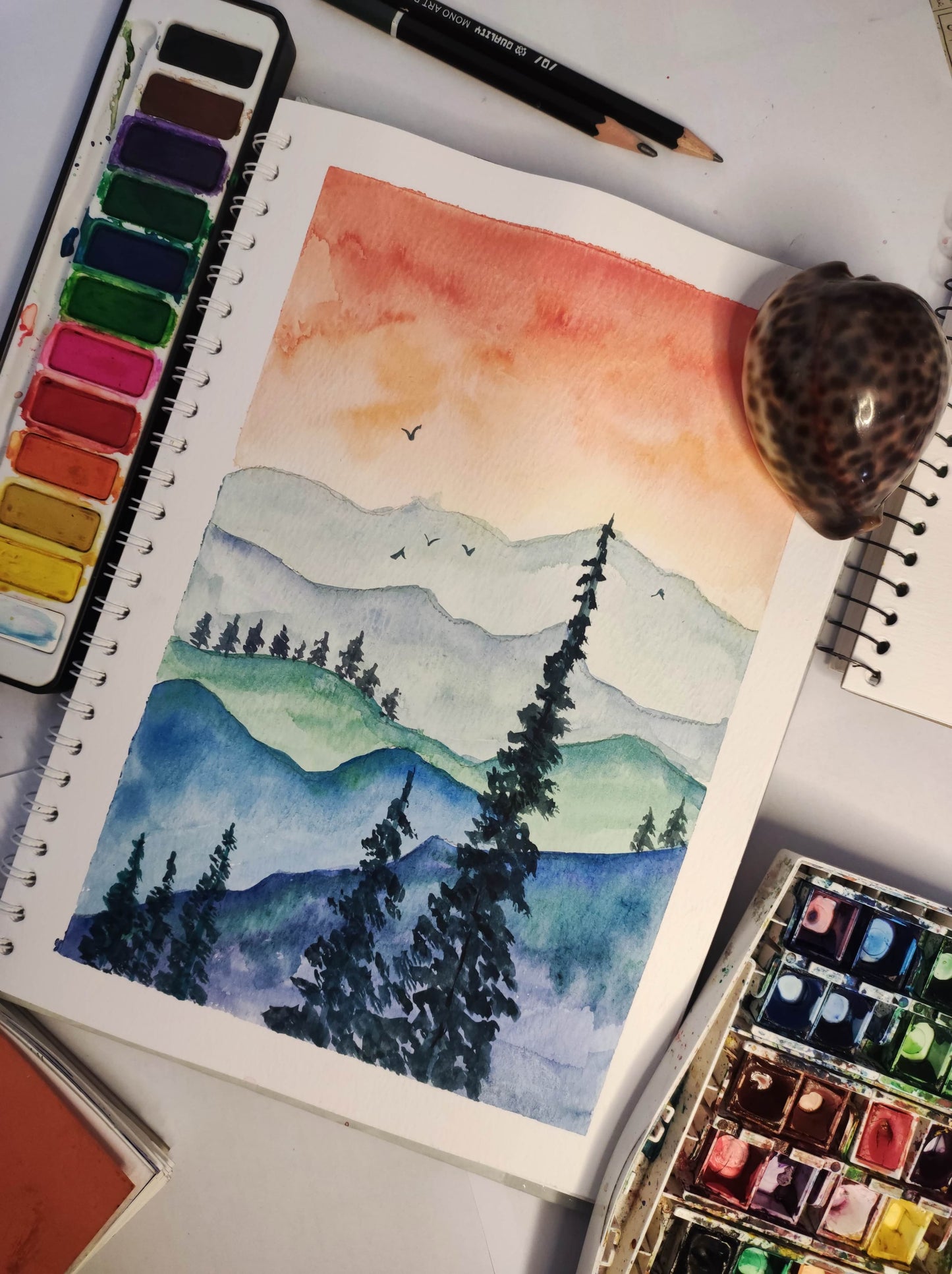 Water Color Illustrations