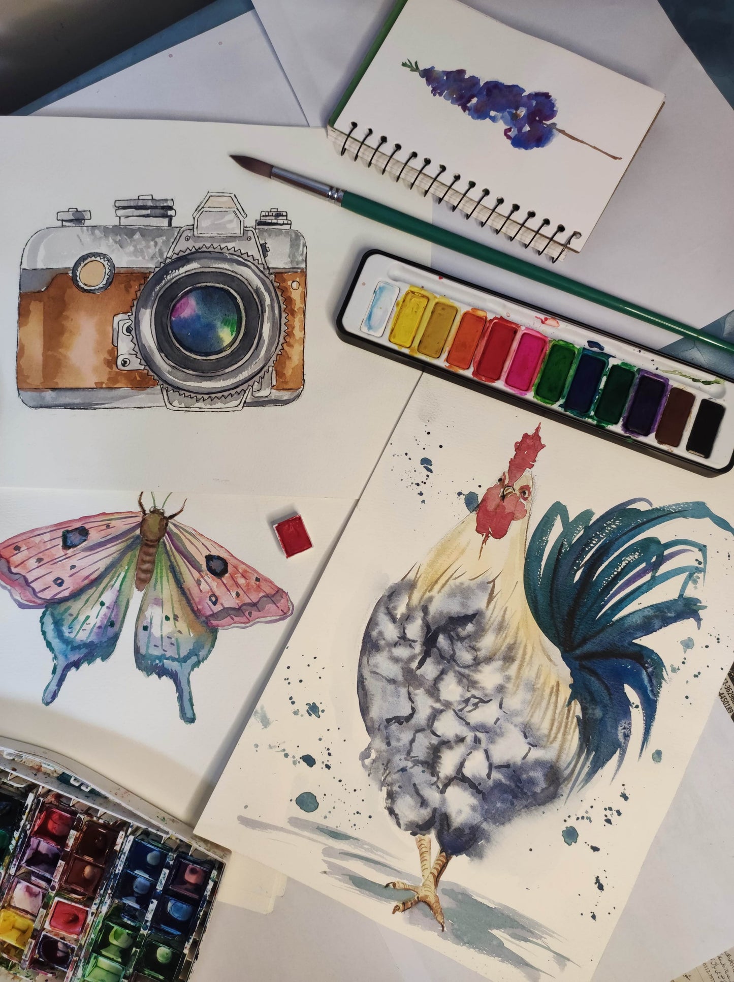 Water Color Illustrations