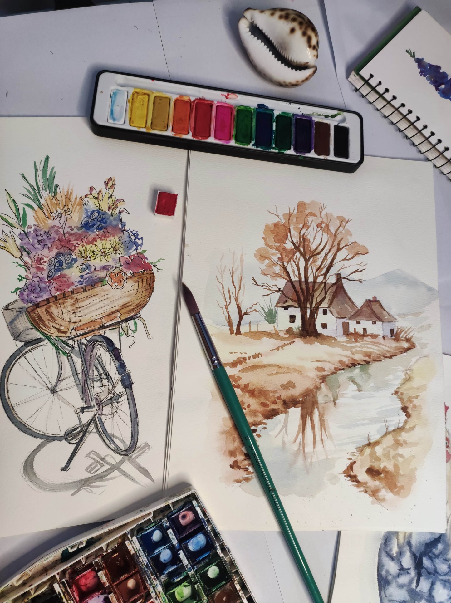 Water Color Illustrations